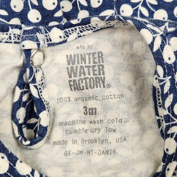 Winter Water Factory Organic Cotton Blueberry Vines Sleeveless Dress sz 3m - Picture 5 of 5